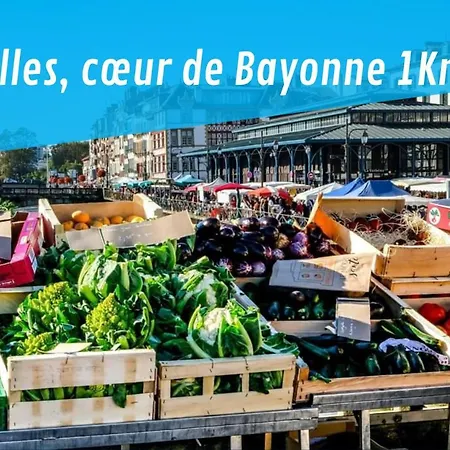 By'ona Marquisat Au Calme A 2 Pas De L'adour Bayonne