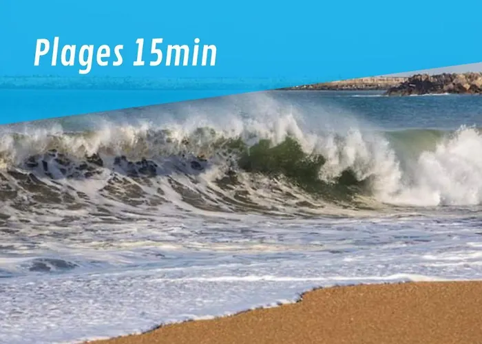 By'ona Marquisat Au Calme à 2 Pas De L'adour Appartement *