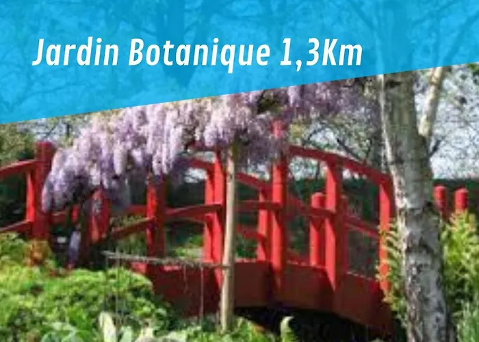 By'ona Marquisat Au Calme à 2 Pas De L'adour *