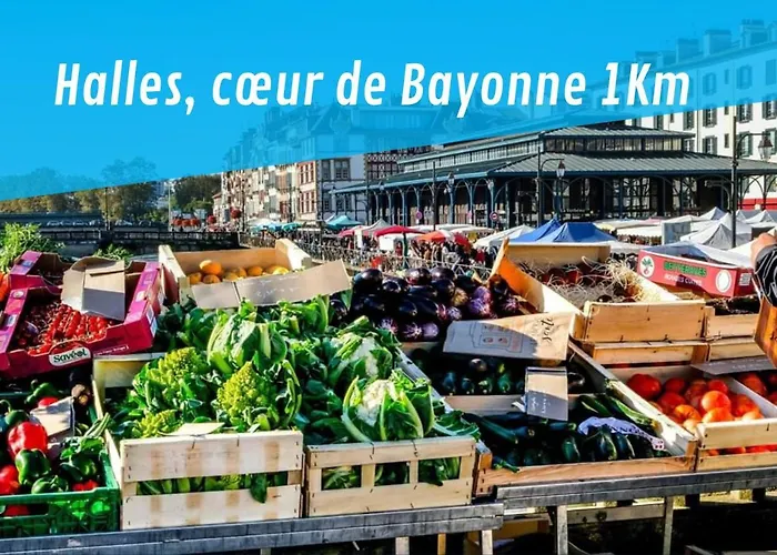 By'ona Marquisat Au Calme à 2 Pas De L'adour Bayonne